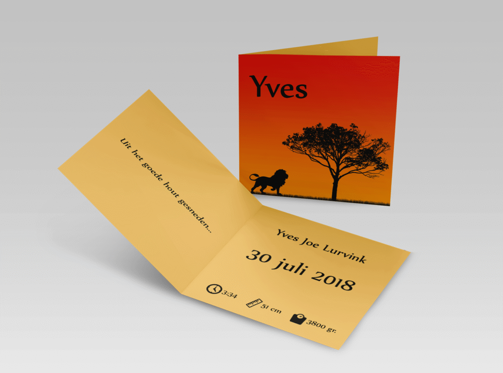 kaart-op-maat-yves-tien98